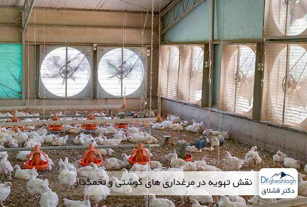 نقش تهویه در مرغداری های گوشتی و تخمگذار