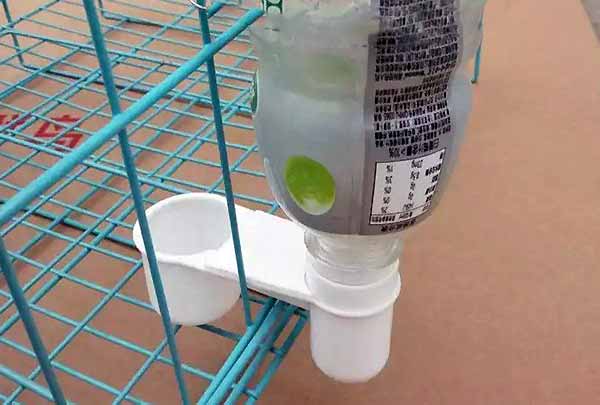 استفاده از بطری نوشابه برای ساخت آبخوری