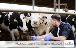 تاثیر استفاده از تجهیزات مدرن در افزایش شیردهی گاو