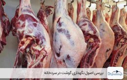 نگهداری گوشت در سردخانه - صنایع ماشین سازی دکتر قشلاق