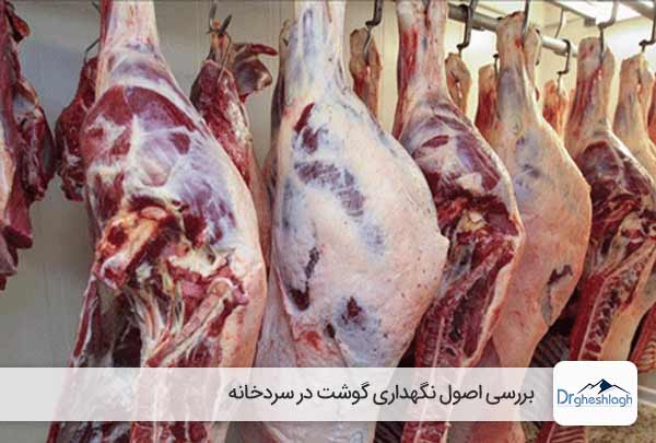 نگهداری گوشت در سردخانه - صنایع ماشین سازی دکتر قشلاق