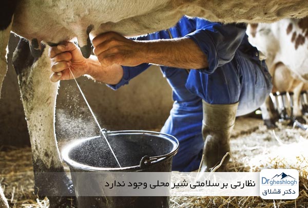 نظارتی بر سلامتی شیر محلی وجود ندارد - دکتر قشلاق