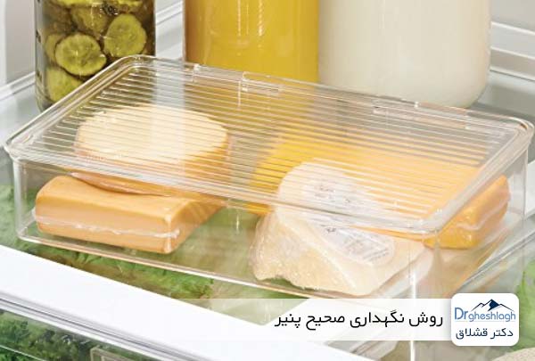 روش نگهداری صحیح پنیر - دکتر قشلاق