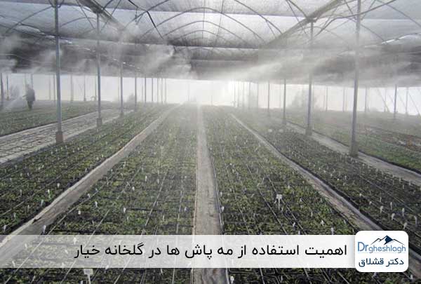 استفاده از سیستم مهپاش در گلخانه خیار
